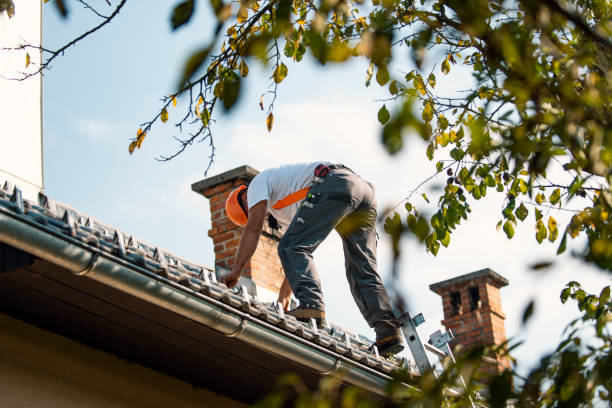 Best Roof Maintenance Services  in Montague, CA